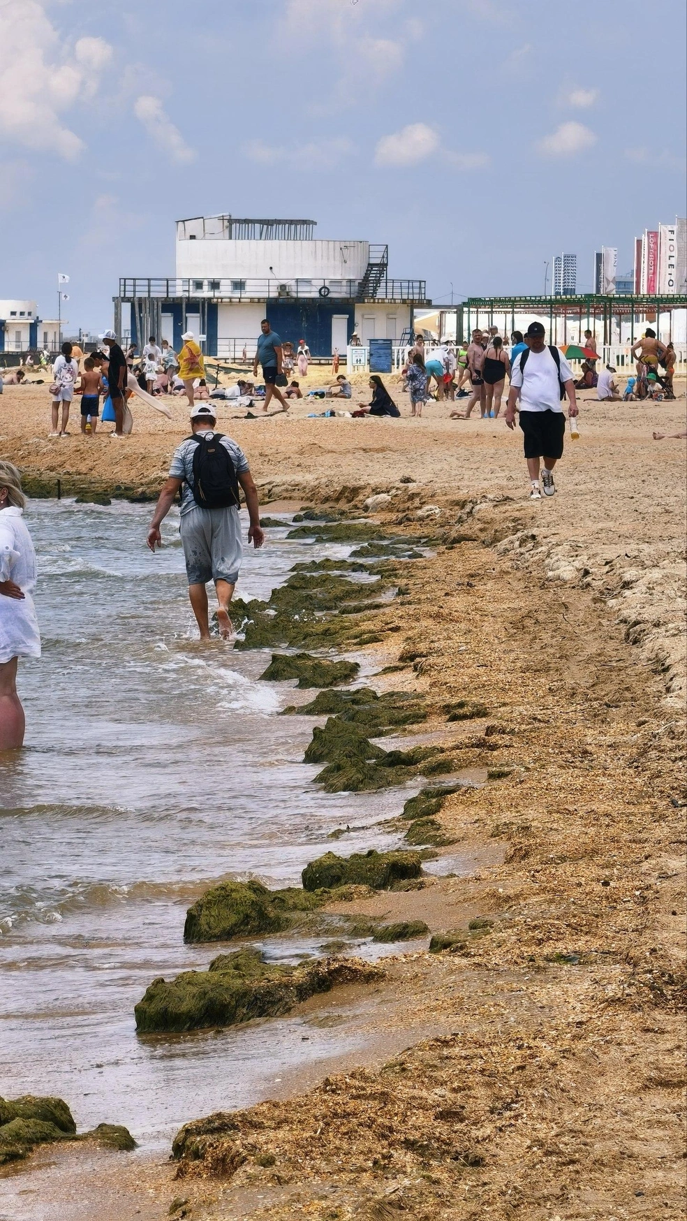 Водоросли на пляже рядом с детским лагерем «Вита» в Витязево 9 июня | Источник: МАКОВОЗОВЫ / T.me