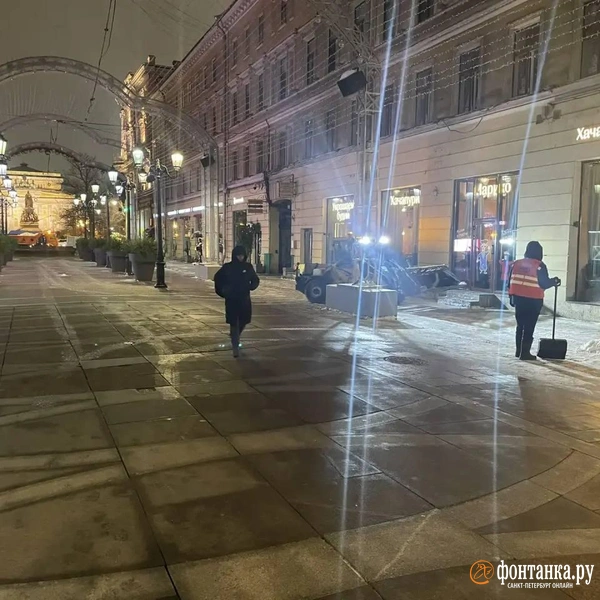 Источник: Комитет по благоустройству Санкт-Петербурга