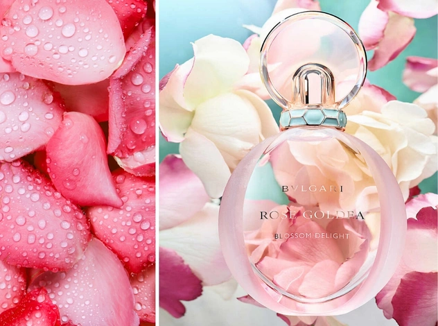 Аромат дня: Rose Goldea Blossom Delight от BVLGARI