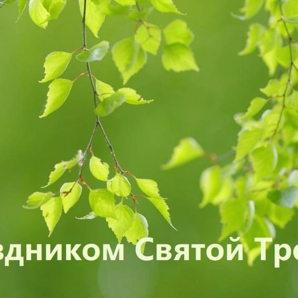 Источник: vokrugsveta.ru