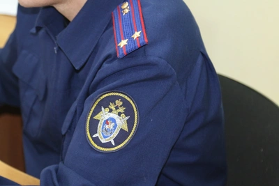 СК расследует нападение собак на женщину с ребенком