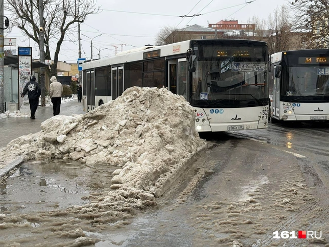 Ростовские горы выросли на обочинах | Источник: Евгений Вдовин / 161.RU