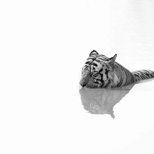 Источник: Apurv Frank Vedantam Isaac / Exposure One Awards 2025