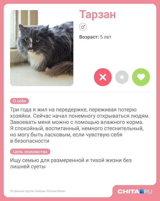 Источник: Юрий Скулыбердин / Городские медиа