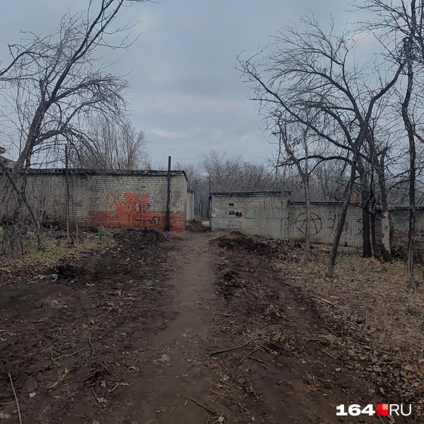 Источник: Сергей Гендин / 164.RU