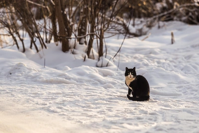 Зима в Иркутске: прогноз на 24 февраля