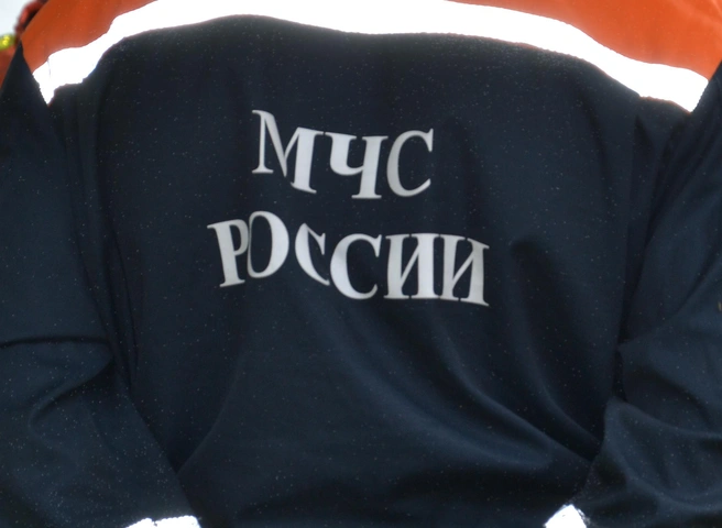 Рязанцев вновь предупредили о порывистом ветре | ya62.ru