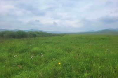 Штраф за заросшие земли в Забайкалье
