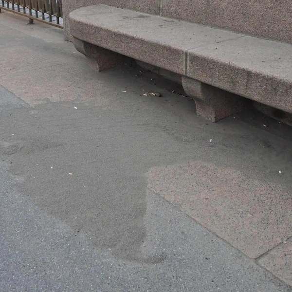 Источник: Михаил Огнев / «Фонтанка.ру»