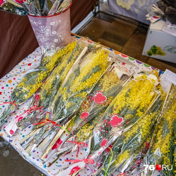 Те ветки, что поменьше, стоят 350 рублей | Источник: Кирилл Поверинов / 76.RU