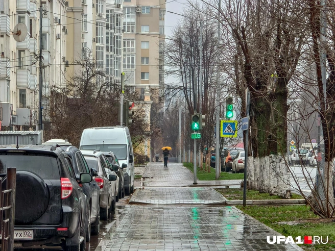 Какой яркий зонтик, издалека видно | Источник: Булат Салихов / UFA1.RU