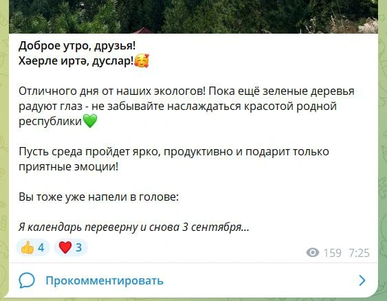 Источник: Минэкологии Татарстана / T.me