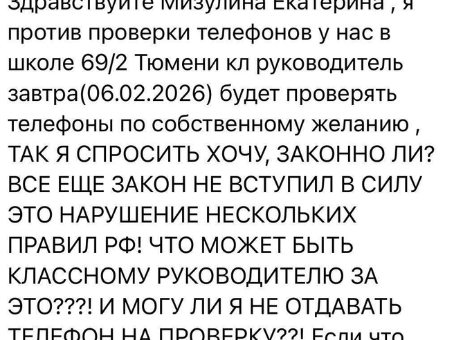 Обращение учащегося из Тюмени к Екатерине Мизулиной | Источник: Екатерина Мизулина / T.me