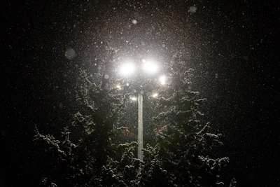 В Новосибирске обновят освещение на нескольких улицах