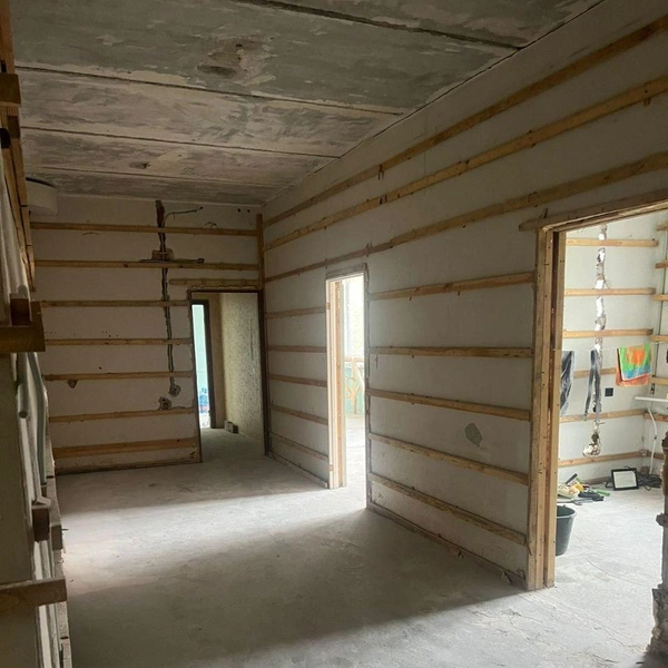 Источник: приют «Новый дом»