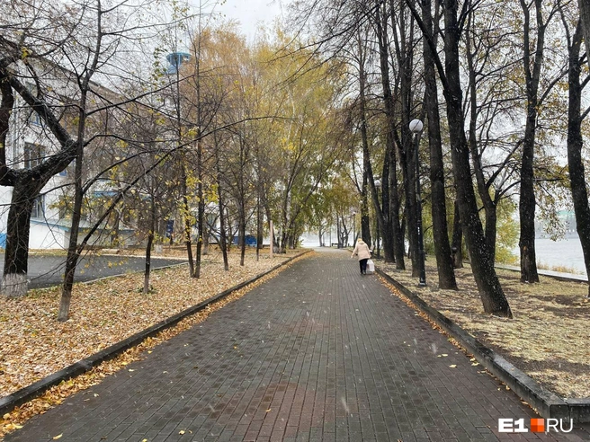Екатеринбург заметает снегом | Источник: Анастасия Баранова / E1.RU