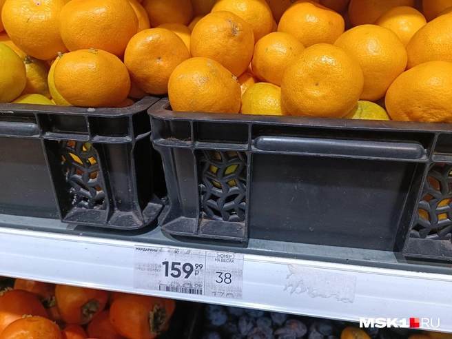 Источник: Анастасия Харитонова / MSK1.RU