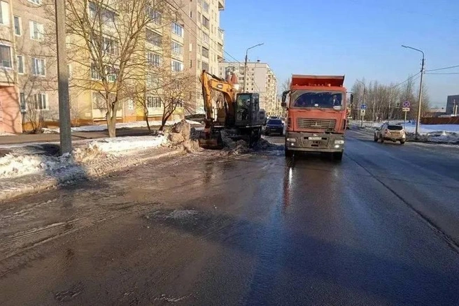 Источник: st.cherinfo.ru