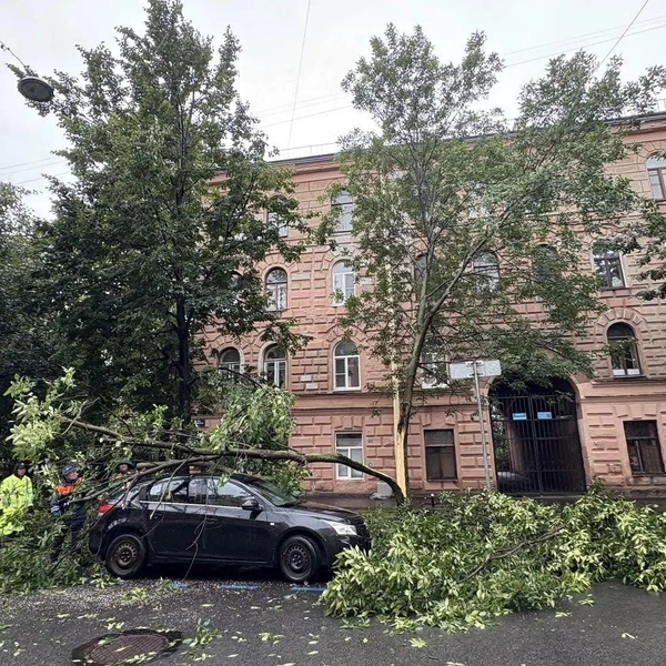 Источник: Комитет по благоустройству Петербурга