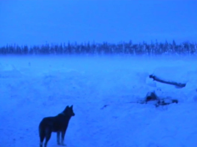 Источник: кадр из фильма