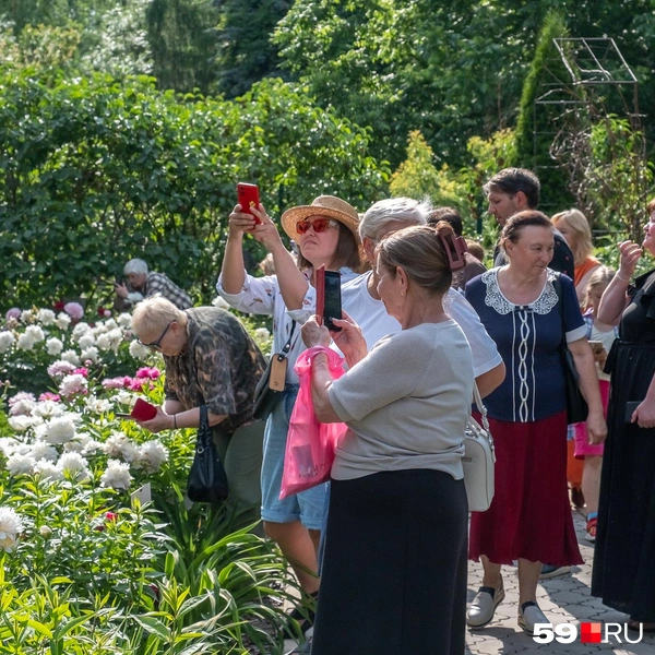Пермяки увлеченно любовались цветами | Источник: Василина Любимова / 59.RU