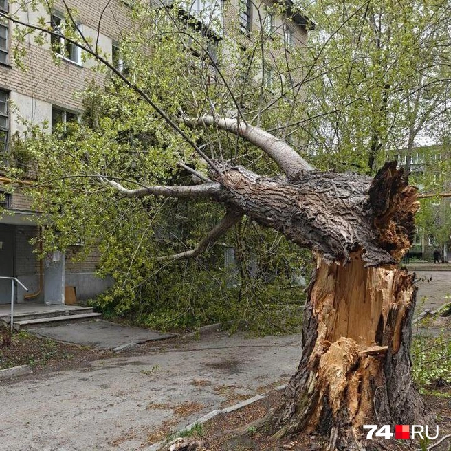 А во дворе на Сони Кривой под удар попали балконы | Источник: читатель 74.RU