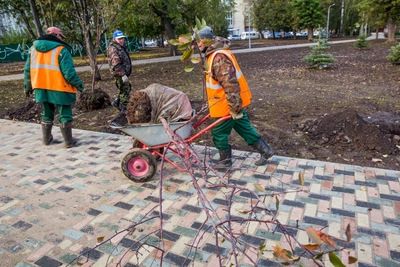В Кургане отремонтируют 17 дворов и проездов