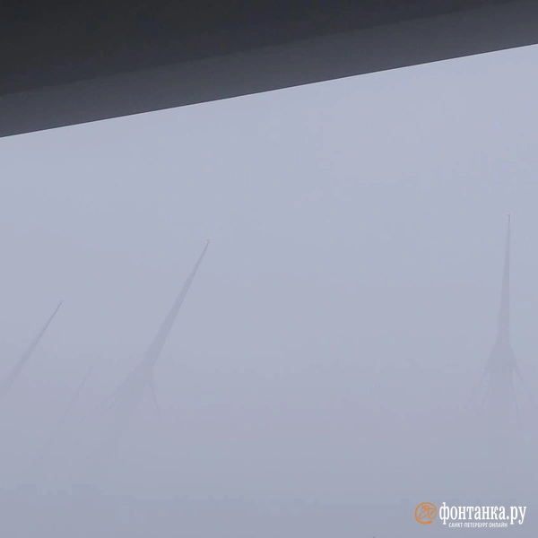 Источник: Дарья Драй/«Фонтанка.ру»