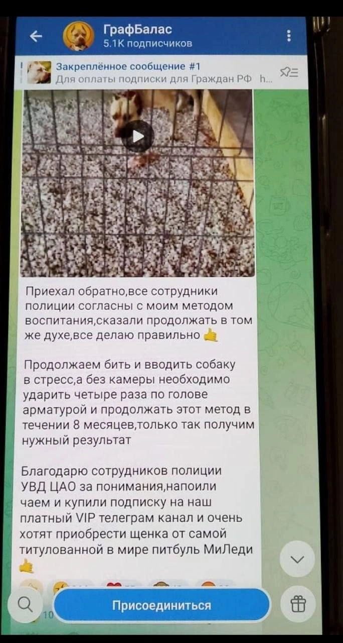 По словам блогера, полиция одобрила его методы «воспитания» животных | Источник: «Всероссийское народное экологическое зоозащитное движение» / T.me