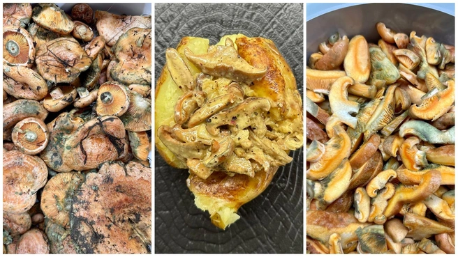 Иркутский блогер рассказала, как жарит рыжики | Источник: Otkidachef | Кулинарный блог»/ T.mе