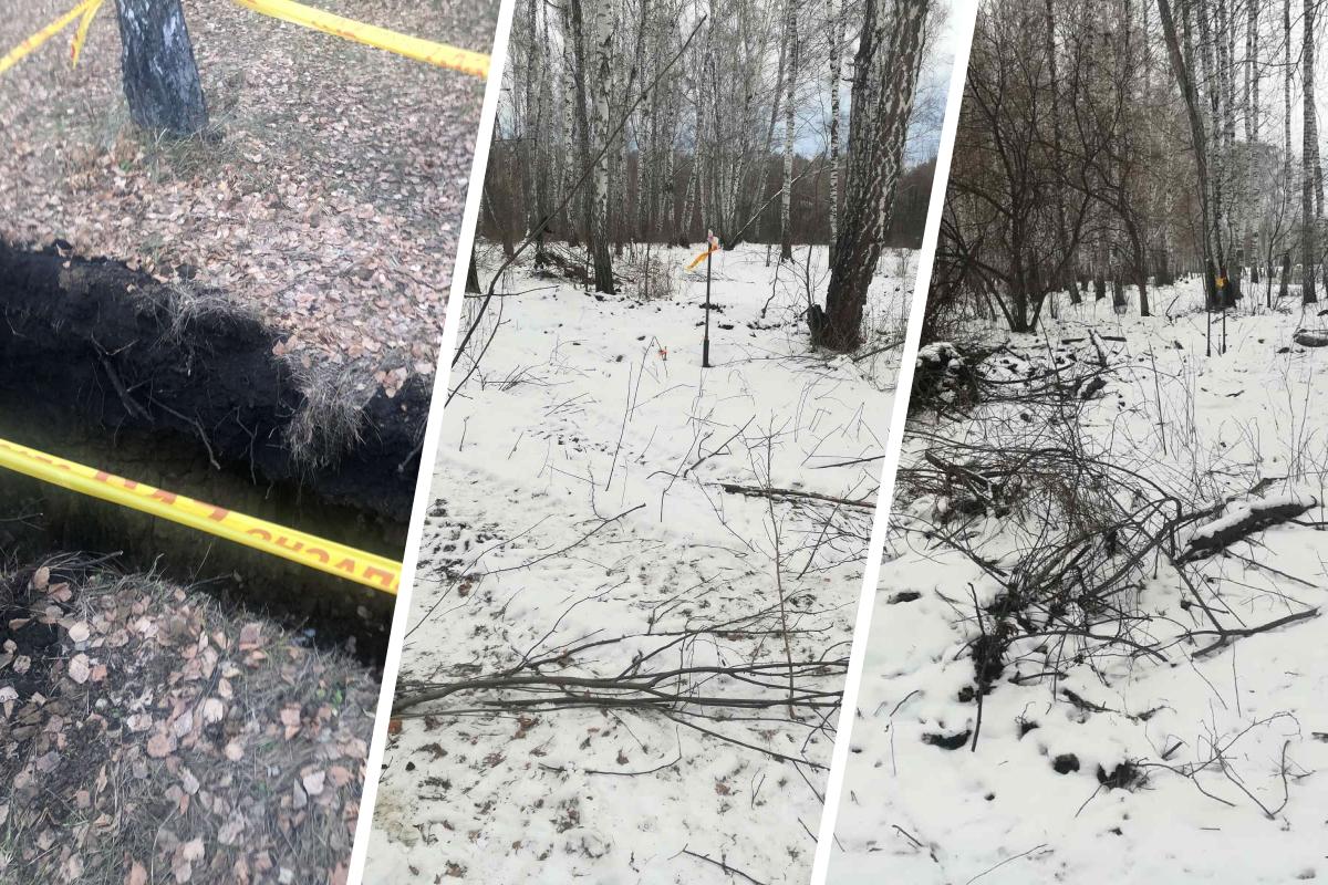 В Тюменском районе, в селе Луговое, идет спор между жителями и бизнесменом  Максимом Федорцом из-за земель в лесу - 21 ноября 2020 - 72.ру