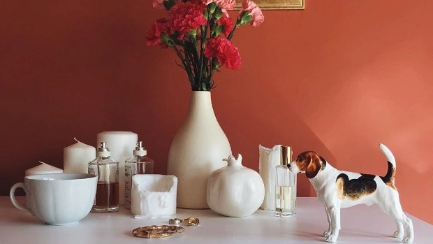 8 российских концепт-сторов, на которые стоит обратить внимание