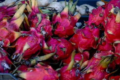 Врачи о питахайе: польза для иммунитета и коллагена