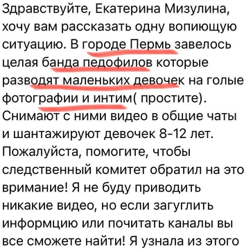 Правозащитница опубликовала текст обращения | Источник: Екатерина Мизулина / Telegram