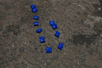 Студент в Саранске делал закладки во время выгула собаки