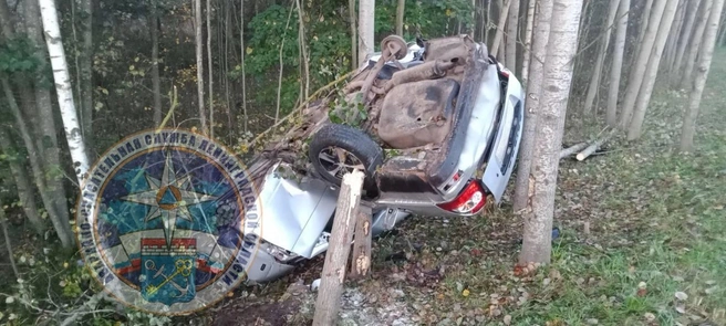 Судя по кадрам, салон автомобиля пробило дерево. | Источник: Аварийно-спасательная служба ЛО