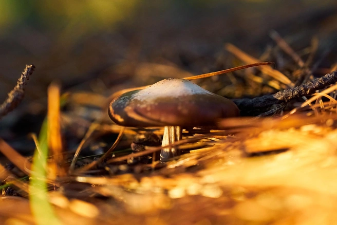 Источник: Фотограф Ирина Лаптева Ханты-Мансийск / Vk.com