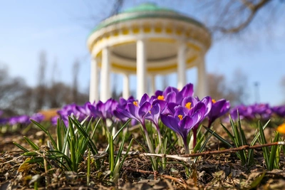 Синоптик Позднякова: в Москву вернется тепло до +20°C