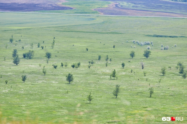 Проселочным путем люблю скакать в телеге И, взором медленным пронзая ночи тень, Встречать по сторонам, вздыхая о ночлеге, Дрожащие огни печальных деревень | Источник: Роман Данилкин / 63.RU