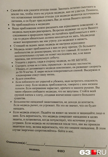 Представила, как тридцать взрослых людей лежат пузом в грязи под елкой и коллективно тычут медведя в морду. Хороший план. Надежный. | Источник: Анна Шорина / 63.RU