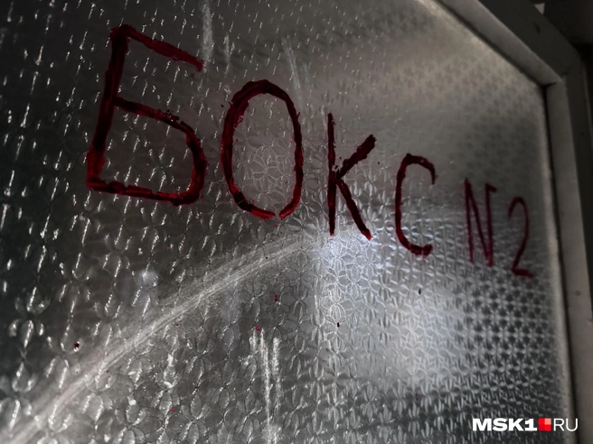 Двери в изолятор | Источник: Алина Мельникова / MSK1.RU