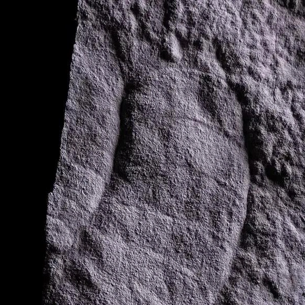 Отпечаток эдиакарского мягкотелого организма. | Источник: Gondwana Research/Anton Kolesnikov et al. 