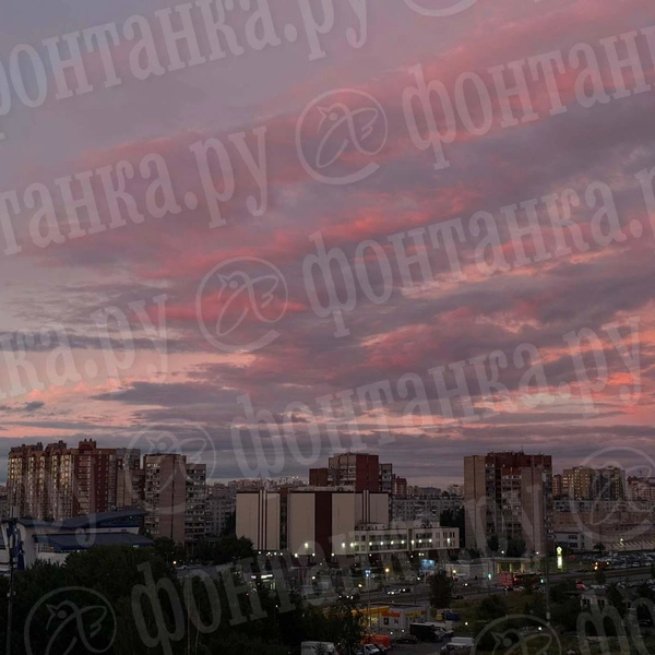 Источник: читатель «Фонтанки»