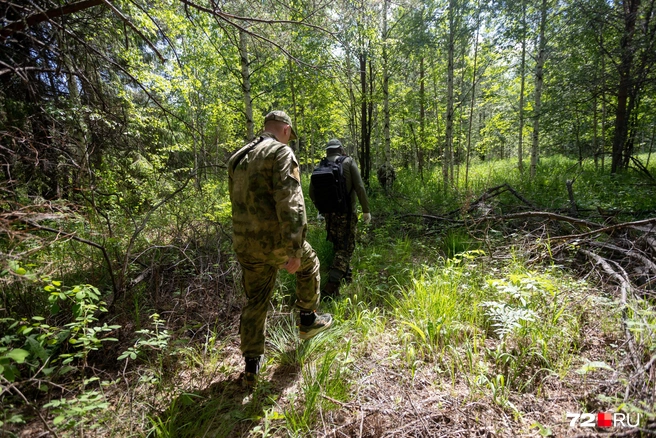 В густой лесистой местности бывает сложно просто передвигаться, а искать при этом заблудившегося человека — вдвойне | Источник: Ирина Шарова / 72.RU