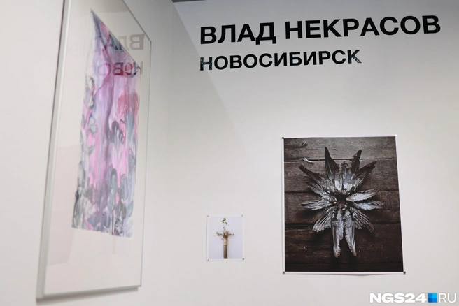 Центральный снимок проекта&nbsp;— Херувим | Источник: Мария Ленц / NGS24.RU 