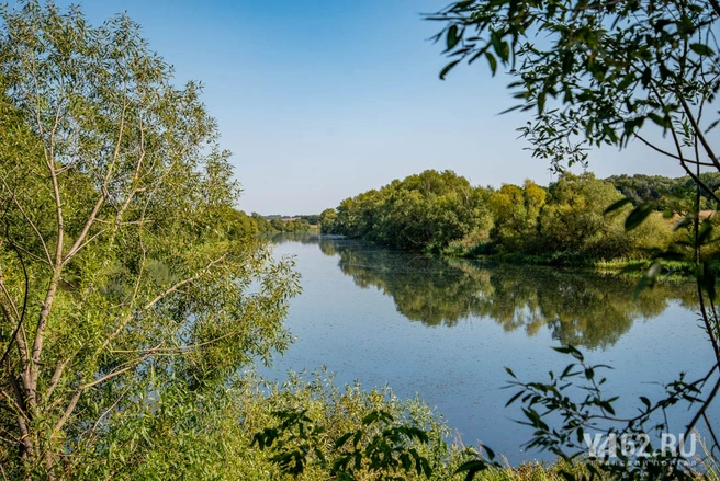 Дон