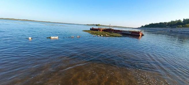 На большое количество травы, плывущей по течению, горожане жаловались практически сразу же после открытия пляжа | Источник: читатели V1.RU