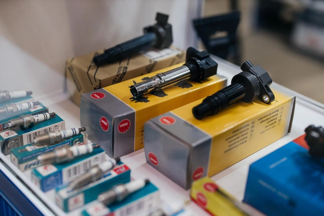 Источник: Ксения Зимина