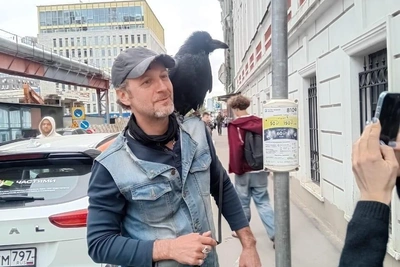 В Москве пропал ворон Скиф из мотоклуба