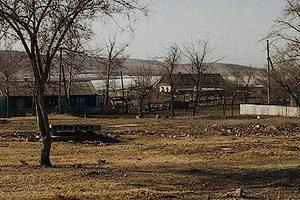 Источник: Ксения Зимина